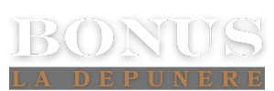 BonusLaDepQunere.ro Logo